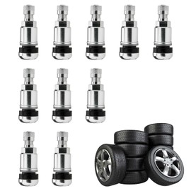 LNGJIN Pack of 10 Car Tyre Valves, Universal Metal Valves, 11.3 mm Rims Valves, Air Valves, Car Steel Valves, Universal Rim Valves, Car Valves, Schrader Valve, Tyre Valve, Steel Valves, for Car