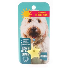 Star - Glowing Charm light USA Handmade