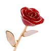Rose Dipped in 24k Gold Forever Preserved Long Stem Rose