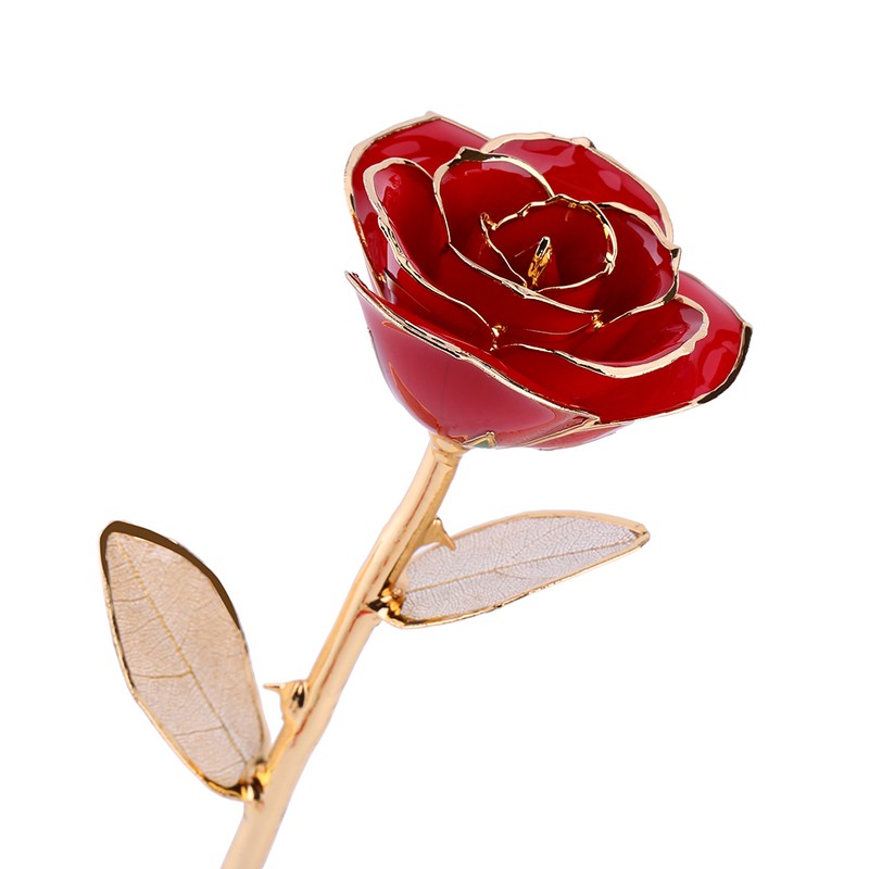 Rose Dipped in 24k Gold Forever Preserved Long Stem Rose