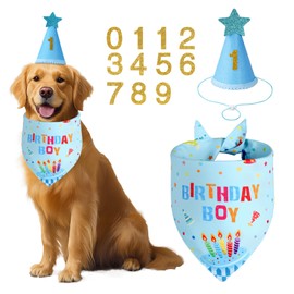 Agroon Dog Birthday Party Supplies with Hat Bandana Numbers, Light Blue Dog Birthday Set for Large Medium Pets Puppy Boy