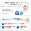 Yamada Beekeeping Farm Lactic Acid Bacteria and Yeast Chikara Kefir