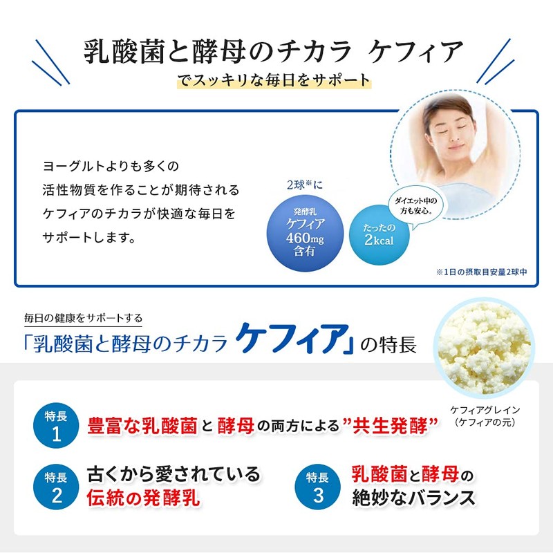 Yamada Beekeeping Farm Lactic Acid Bacteria and Yeast Chikara Kefir