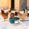 Billionchains Dog Heated Water Bowl for Outdoor No Freeze Water