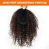 MKJVEN Afro Kinky Curly Ponytail Extensions 10 Inch Drawstring Ponytail
