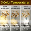 MIOBLUE LED Spot Lights Indoor Uplighting with Timer, 3W Up
