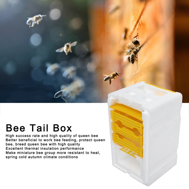 Queen Bee Mating Box Foam Breeding Rearing Copulation Accessory Beekeeping