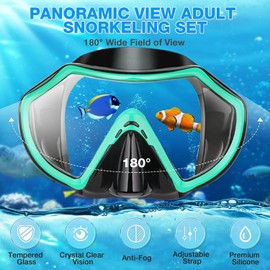 PIYAZI Snorkeling Gear for Adults, Dry Adult Snorkel Set HD Panoramic View Snorkel Mask Set, Anti-Leak and Anti-Fog Scuba Diving Package with Mesh Bag Ear Plug for Snorkeling Scuba Diving Travel