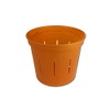 3" Slotted Clear Orchid Pots - 3 Pack (Copper Amber)