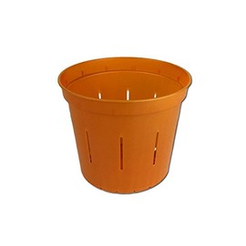 3" Slotted Clear Orchid Pots - 3 Pack (Copper Amber)