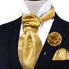 YOHOWA Mens Ascot Tie Cravat Set Paisley Gold Scarf Neckties