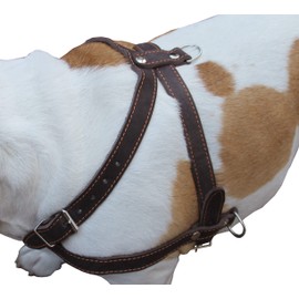 Leather Dog Pulling Walking Harness 33"-37" Chest, 1" Wide Straps. Pitt Bull, Rottweiler
