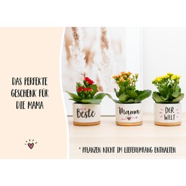 Darlena Beste Mama der Welt | Mum Gift, Birthday Gift | Herb Garden Gifts for Mum for Birthday, Mother's Day or Christmas | Flower Pots for Planting