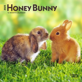 Honey Bunny | 2025 7 x 14 Inch Monthly Mini Wall Calendar | Plastic-Free | BrownTrout | Domestic Small Cute Animals
