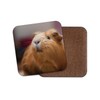 1 x Cute Ginger Guinea Pig Cork Backed Drinks Coaster
