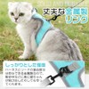 Cat Harness, No Shedding Double Lock, Easy, Cat Leash Harness,