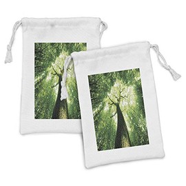 Ambesonne Nature Fabric Pouch Set of 2, Sun Rays to Woodland Wild Habitat Summer Rays Dreamy Foliage Park Landscape Photo Art, Small Drawstring Bag for Toiletries Masks and Favors, 9" x 6", Green