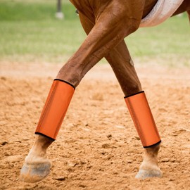 Paterr 32 Pcs Mesh Fly Boots for Horse Loose Breathable Mesh Horse Boots Protective Leg Leggings for Preventing Flies and Mosquitoes Bites Reduces Stress Stomping