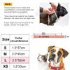 BDEPSTR Leather Cat Collar, Safety Collar for Cats with Elastic