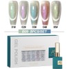 AS Gel Nail 5-Piece Set Includes Magnetic Syrup Glitter Color Gel Art Board, 1 Set, B09 / AS젤 네일 5종 세트 자석 시럽 글리터 컬러 젤 아트판 포함, 1세트, B09