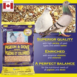 Hagen Hagen Pigeon & Dove Seed, Nutritionally Complete Bird Food, original version, 6 Pound (Pack of 1) (B2704)