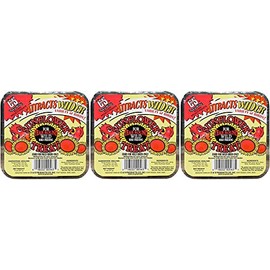 C&S Products Sunflower Treat Wild Bird Suet [Set of 3]
