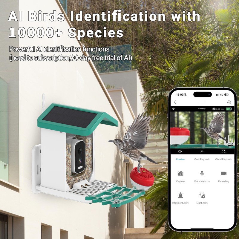 Smart Bird Feeder with Camera Solar Powered, 2.5K HD AI