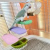 Fcliqzod888 Nail Sharpening Step, Small Animals, Piggy, Washable, Nail Sharpener,