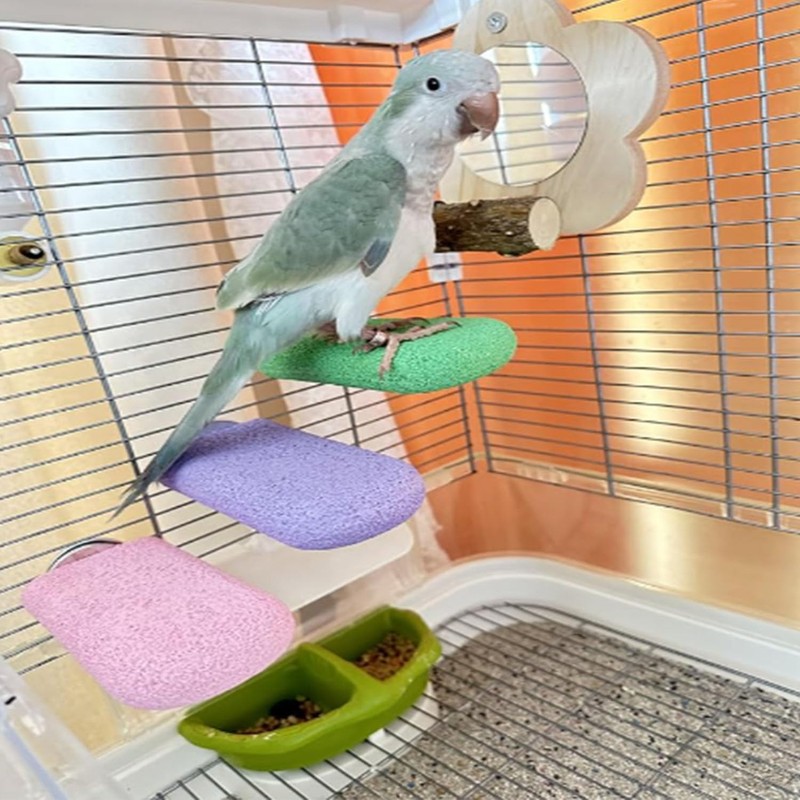 Fcliqzod888 Nail Sharpening Step, Small Animals, Piggy, Washable, Nail Sharpener,