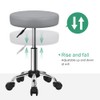 FURWOO Adjustable Salon Chair Small Rolling Stool with Wheels for