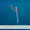 400 Bamboo Cotton Buds | Q Tips | Ear Sticks