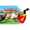 4pcs Large Automatic Chicken Waterer Cups DIY Poultry Chicken Waterer