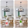 PNOUKF 4-Light Farmhouse Chandelier, Industrial Drum Pendant Light, Adjustable Height