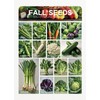 ATLAS 16 Varieties Fall Vegetable Seeds Over 20,000 Seeds