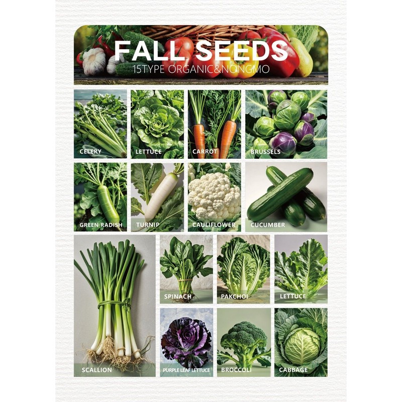 ATLAS 16 Varieties Fall Vegetable Seeds Over 20,000 Seeds