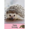 Hedgehog Birthday Card
