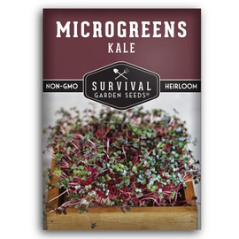1 Pack Kale Microgreens Seeds for Planting and Growing - Plant Green Leafy Micro Vegetable Plants Indoors - Grow Your Own Mini Windowsill Garden - Non-GMO Heirloom - Survival Garden Seeds