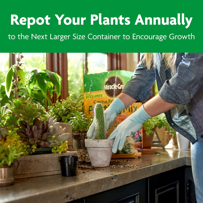Miracle-GRO Cactus, Palm and Citrus Potting Mix, for Indoor or