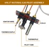 DFD 69L17, 69L1701, Natural Gas Pilot Assembly Fits for Lennox,