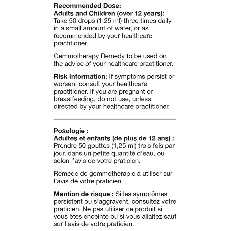 UNDA Gemmo Therapy - Castanea Vesca - Chestnut Bud Extract