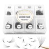 Premade 600 Lash Fans 12D Volume Eyelash Extensions 0.07mm D