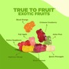 Albanese World's Best True to Fruit Exotic Fruits | 25oz