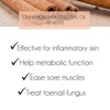 100% Pure Cinnamon Essential Oil 10ml. Cinnamon Bark Oils [Cinnamonum