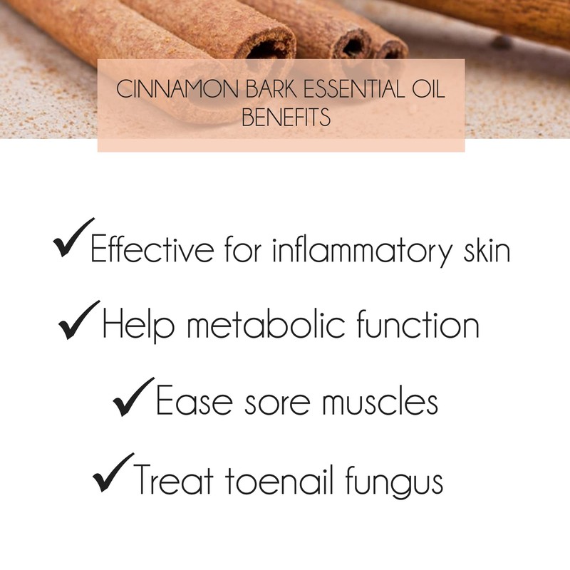 100% Pure Cinnamon Essential Oil 10ml. Cinnamon Bark Oils [Cinnamonum