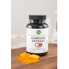 Organic Turmeric Extract Capsules, Pack of 98 Vegan Capsules, 450