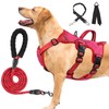 Escape Proof Dog Harness Medium Sized Six Point Adjustable, Soft