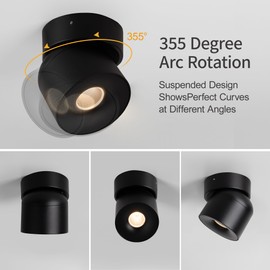 Aisilan Ceiling Spot Lights Indoor, 15W Modern LED Spotlight 350° Directional Accent Lighting, Dimmabel Spotlight Fixtures for Picture Panting Living Room Bedroom Mural,3000K, CRI 97, Black