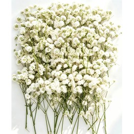 130PCS Dried Pressed Flowers, Natural Baby Breath Dried, Gypsophila Mini Breath Flowers, Real Natural Gypsophila for Vase, Crafts, Resin Art Mini Mixed Floral Set for DIY, Wedding Card