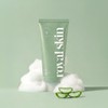 Royal Skin Daily Aloe Cleansing Foam 120ml / 로얄스킨 데일리