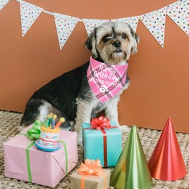 STMK Dog Birthday Bandana, It' s My Birthday Mother Puppers Multi Sizes Dog Birthday Girl Bandana for Small Medium Large Dogs Cats Pets (Pink, Small)